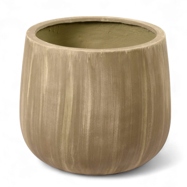 أصيص أشجار فيكونستون دائري متوسط الحجم