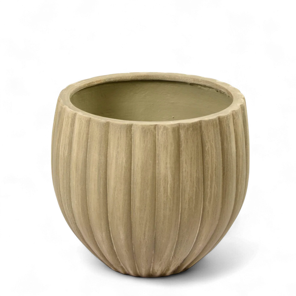 Medium Round Ficonstone Tree Pot