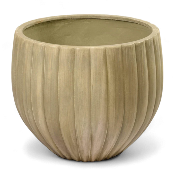 أصيص أشجار فيكونستون كبير دائري الشكل