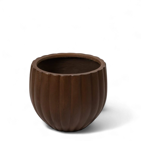 Small Round Ficonstone Tree Pot