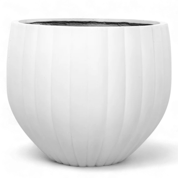 Large Round Ficonstone Tree Pot