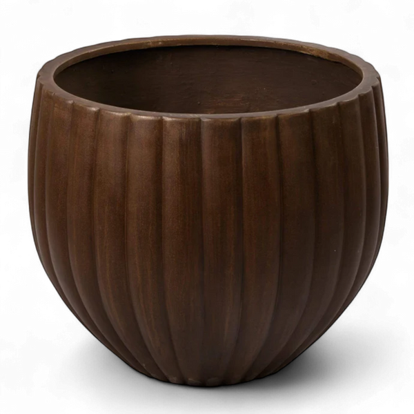 أصيص أشجار فيكونستون كبير دائري الشكل