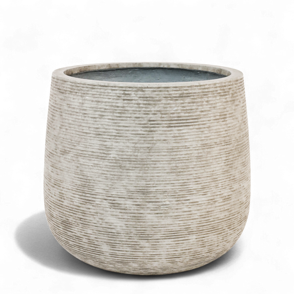 أصيص أشجار فيكونستون دائري متوسط الحجم