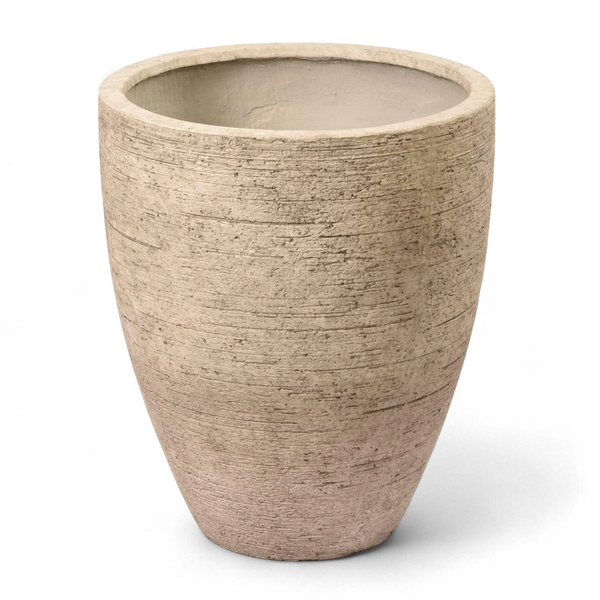 أصيص أشجار فيكونستون كبير دائري الشكل