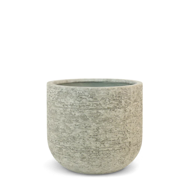 Small Round Ficonstone Tree Pot