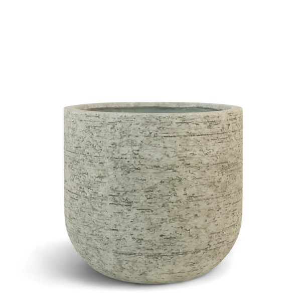 Medium Round Ficonstone Tree Pot