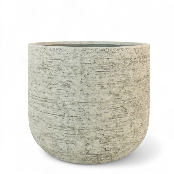 أصيص أشجار فيكونستون كبير دائري الشكل