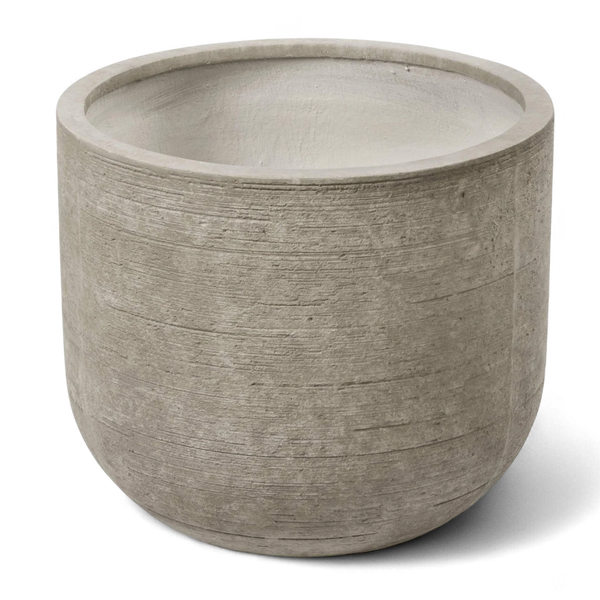 أصيص أشجار فيكونستون كبير دائري الشكل