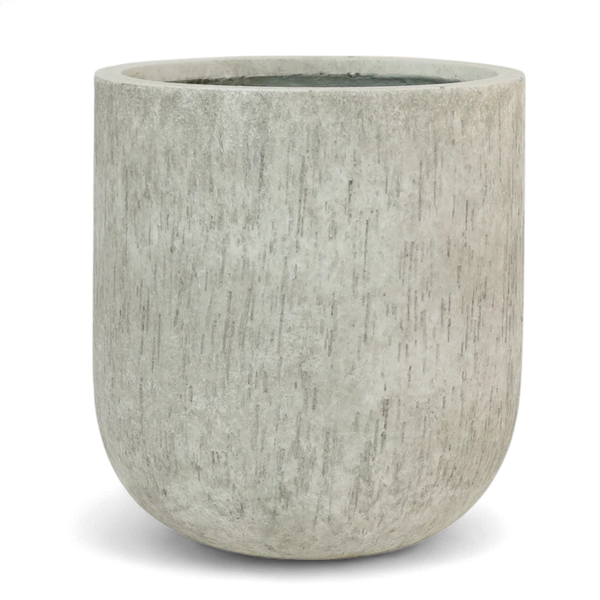 أصيص أشجار فيكونستون دائري كبير