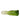 '-Cabbage-Bloomr