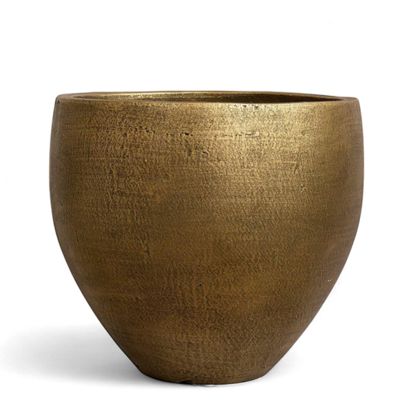 XL Round Cement Tree Pot