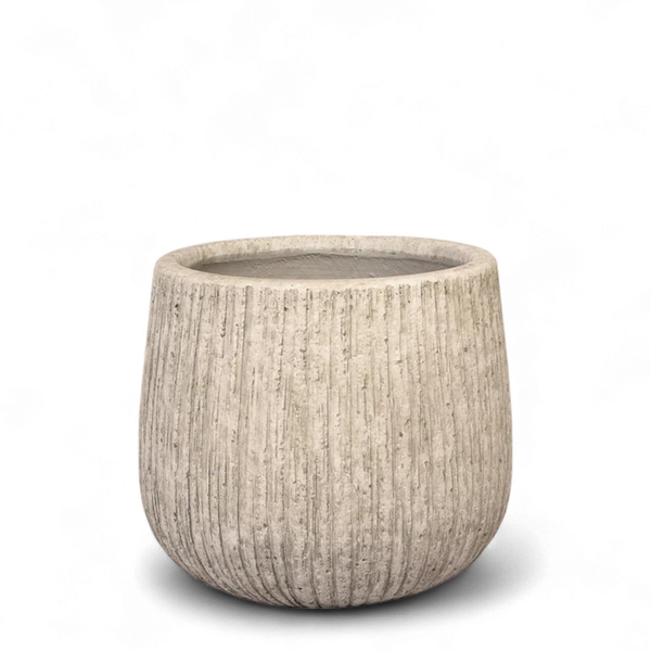 Round Ficonstone Tree Pot - Small