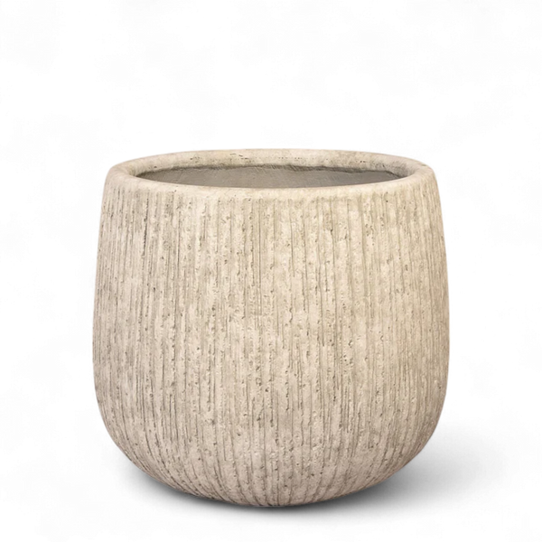 أصيص أشجار فيكونستون دائري كبير