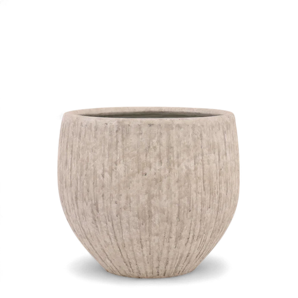 Round Ficonstone Tree Pot - Small