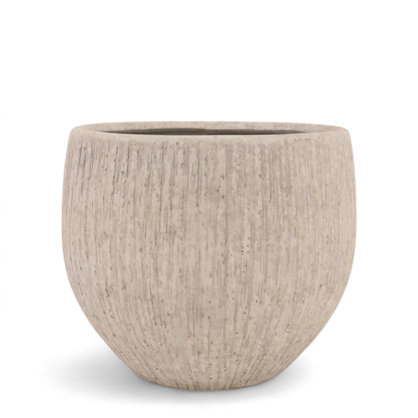 أصيص أشجار فيكونستون دائري- متوسط