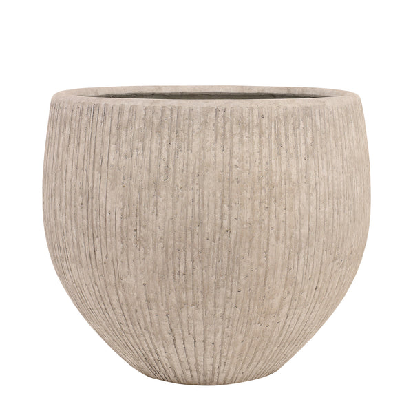 أصيص أشجار فيكونستون دائري كبير