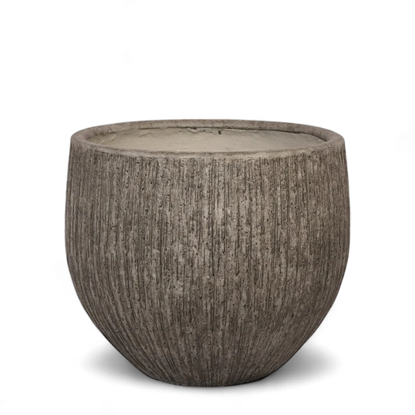 أصيص أشجار فيكونستون دائري- متوسط