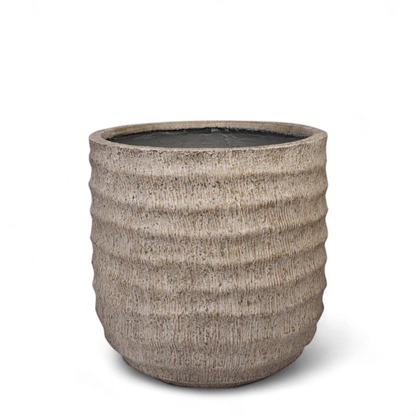 أصيص أشجار فيكونستون دائري- متوسط