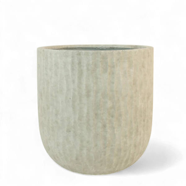 أصيص أشجار فيكونستون دائري كبير