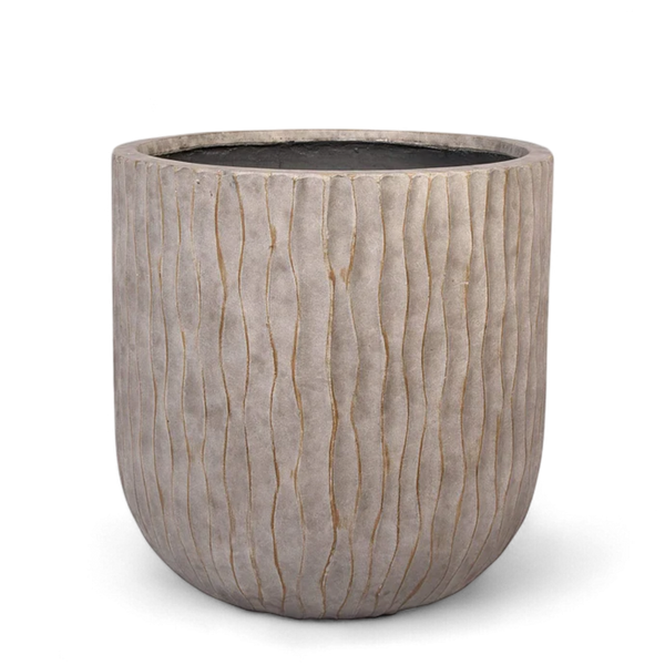 أصيص أشجار فيكونستون دائري كبير