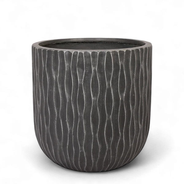 أصيص أشجار فيكونستون دائري كبير