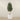 Trees-Artificial Olive Tree 210cm-Bloomr