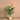Trees-Artificial Areca Palm 120cm-Bloomr