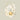 '-Wall lamp-Bloomr