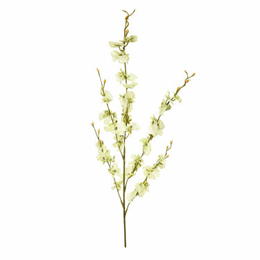 Flowers-Dancing Orchid Stem-Bloomr