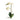 Orchid Stem