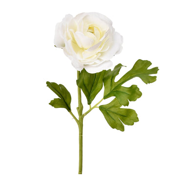 Flowers-Ranunculus-Bloomr