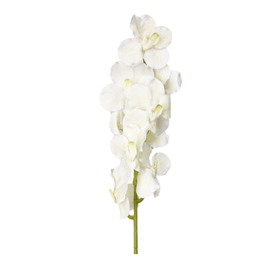 Flowers-Vanda Stem-Bloomr