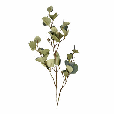 Greenery-Eucalyptus-Bloomr