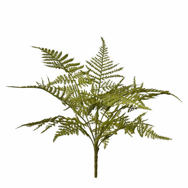 Greenery-Fern-Bloomr