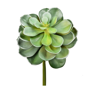 Greenery-Single Stem Succulent-Bloomr