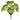 Plants-Begonia-Bloomr