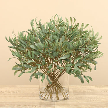Plants-Eucalyptus Spray Arrangement in Glass Vase-Bloomr