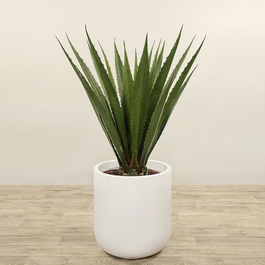 Trees-Artificial Agave Tree <br> 130cm-Bloomr