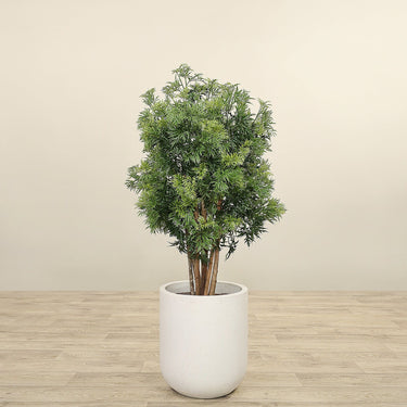 Trees-Artificial Aralia Tree <br> 120cm-Bloomr