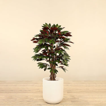 Trees-Artificial Capensia Fig Tree 120cm-Bloomr