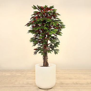 Trees-Artificial Capensia fig Tree <br> 180cm-Bloomr