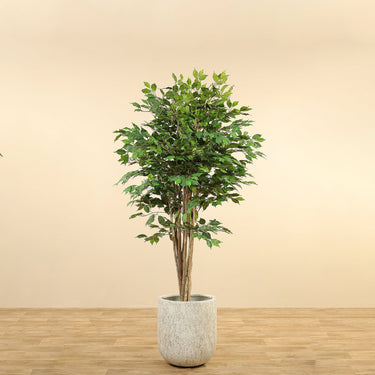 Trees-Artificial Ficus Tree 150cm-Bloomr