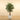 Trees-Artificial Ficus Tree <br> 180cm-Bloomr