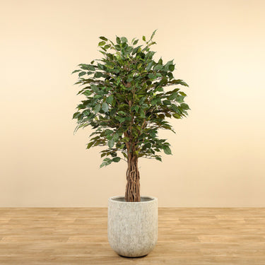 Trees-Artificial Ficus Tree <br> 180cm-Bloomr