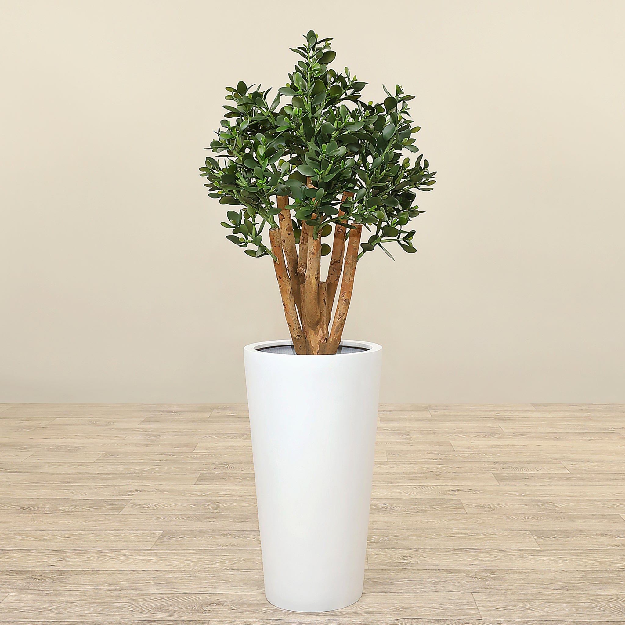 jade plant artificial Artificial Jade Plant 100cm – Bloomr
