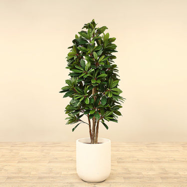 Trees-Artificial Lady Schefflera Tree <br> 150cm-Bloomr