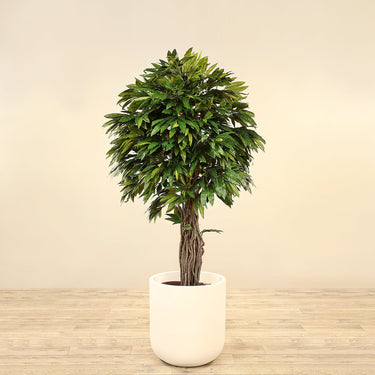 Trees-Artificial Mango Tree <br> 180cm-Bloomr