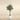Trees-Artificial Olive Tree 200cm-Bloomr