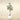 Trees-Artificial Olive Tree 210cm-Bloomr