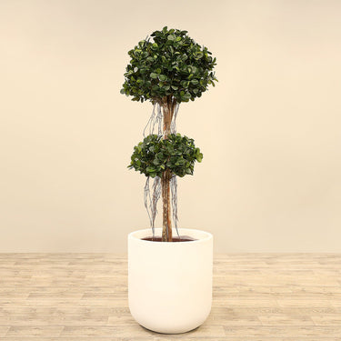 Trees-Artificial Panda Ficus Tree <br> 160cm-Bloomr